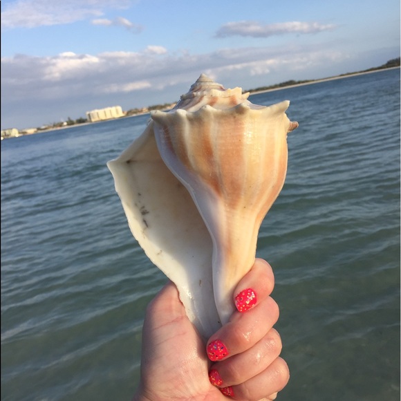 Meet your Posher, Sarah - Picture 9 of 16